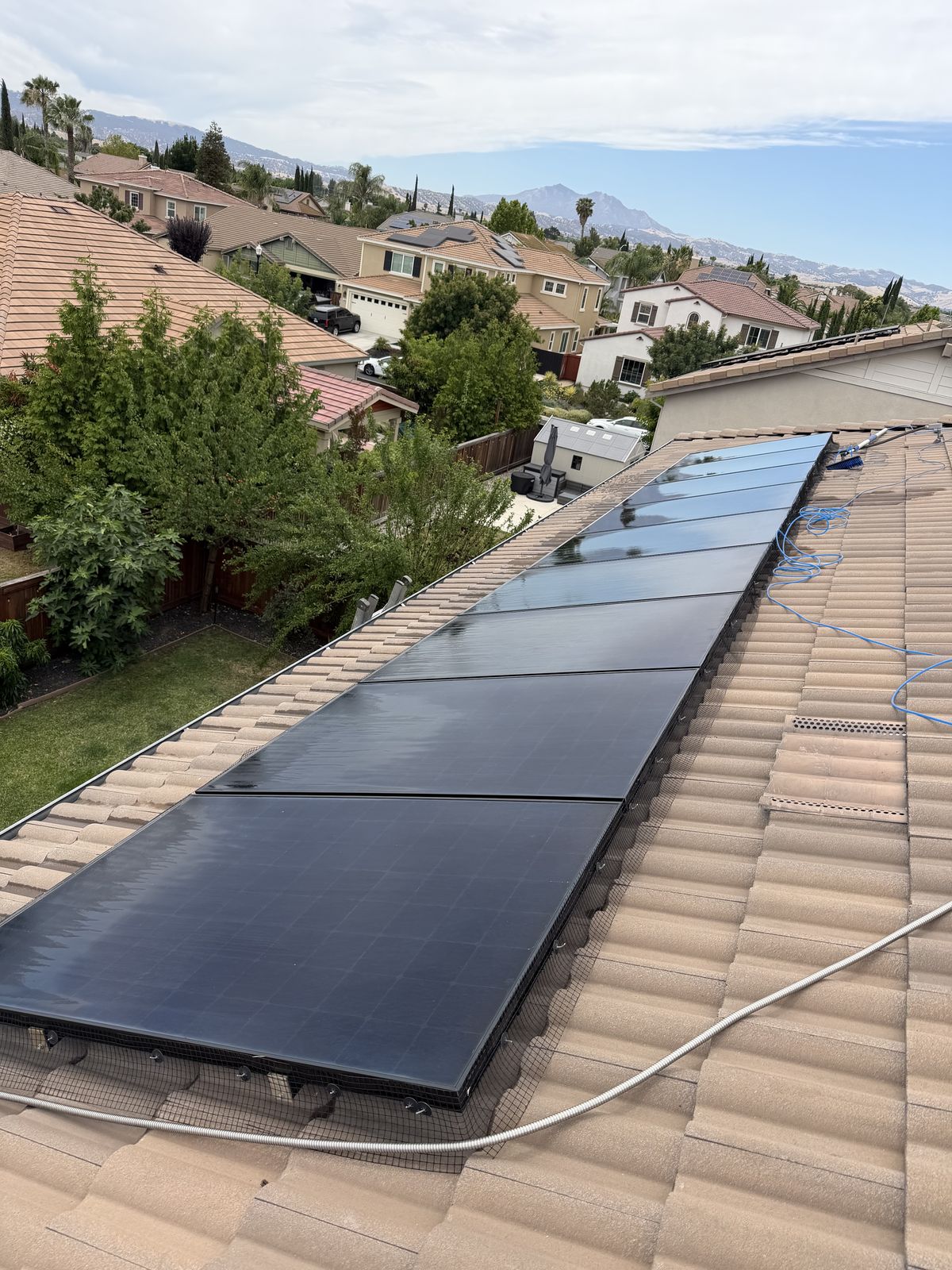 Solar panels on a tile roof with black stainless mesh bird proofing installed around the edges, freshly cleaned